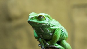 Sieć sklepów chce wykorzystać lukę w prawie polskim i obsługiwać klientów w niedzielę