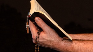 „Był las, nie było was – i nie będzie was, będzie las.”