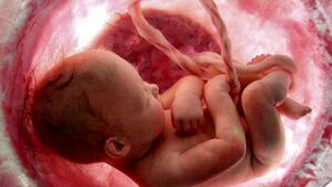 Anglia:  Aborcja bez wychodzenia z domu! To mrozi krew w żyłach...