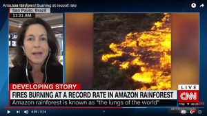 Czy pożary lasów Amazonii są nieprzypadkowe?