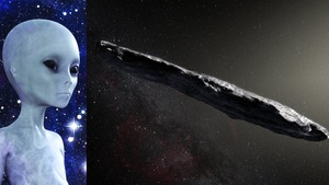 Naukowcy nie mają wątpliwości! Pojawiły się szokujące informacje