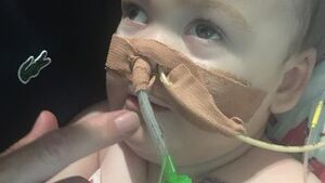 Modlitwa w intencji Alfiego Evansa