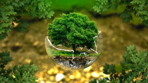 Zielony ład nie odpuszcza 