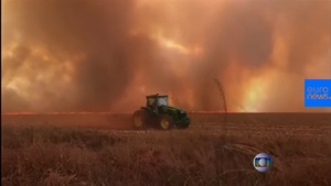 Kto podpalił lasy tropikalne Amazonii?