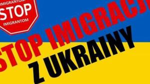 Domagają się, aby rząd zamiast Ukraińców, sprowadził Polaków