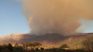 W kolejce dziewięć kataklizmów po koronawirusie
