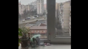 PRZERAŻAJĄCE nagranie z Ukrainy! Nie uwierzysz CO zrobili Rosjanie! [WIDEO]