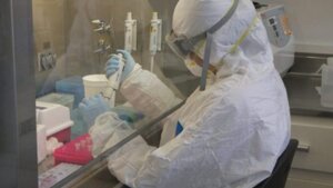 Władze ogłaszają ALARM ws. wirusa eboli! Wysoka śmiertelność