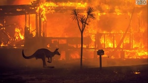 Sztuczny deszcz nad Australią – jak zatrzymać katastrofę ekologiczną?