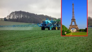 Francja: Paryż i cztery inne miasta zabraniają używania pestycydów