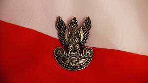 Czy Polacy podczas wojny zabijali  głównie Żydów i Sowietów?