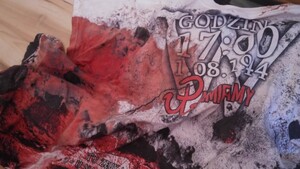 Policja nie prowadzi statystyk co do przestępstw, jakich dopuszczają się w Polsce Ukraińcy