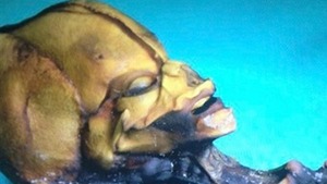 15 centymetrów, czyli mumia-zagadka