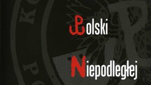 Adam Słomka - PiS-owskie media publiczne nas cenzurują i pomawiają, a Braun Liroy i Korwin Mikke zawłaszczają nazwę Konfederacja