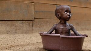 MILIONY ludzi zagrożonych GŁODEM! Już za chwilę wybuchnie prawdziwa KATASTROFA!