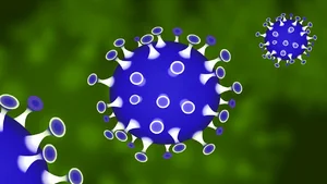 NIEPOKOJĄCE badanie ws. COVID-19! Pojawiły się PRZERAŻAJĄCE informacje