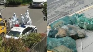 W Szanghaju ZABIJAJĄ i pakują w worki koty i psy, bo... "przenoszą koronawirusa" Lockdown trwa! [WIDEO]