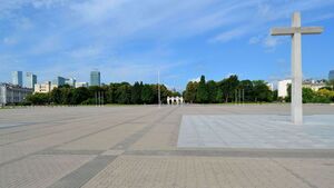 Czemu baba na Placu Piłsudskiego powinna zostać spoliczkowana?