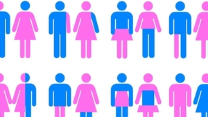 Feministki ustalają w ONZ zakres propagandy gender