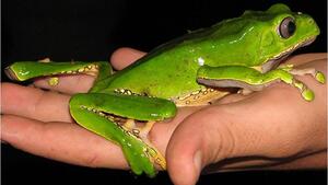 Medycyna naturalna czyli trucizna - śmierć kobiety z Grodziska Mazowieckiego