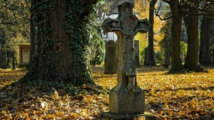Pośmiertna zemsta teściowej – zięć chciał jej zniszczyć grób, płyta przycisnęła mu nogę (FELIETON)