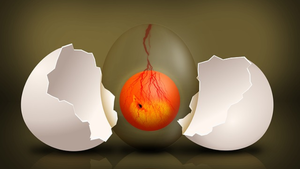 SZOK! Chcą zakazać abortowania kurcząt, bo czują ból. "Wiesz, że dotarłeś do najlepszej Europy w historii"