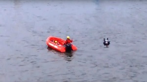 Topielec w Wiśle!? [NASZE WIDEO]