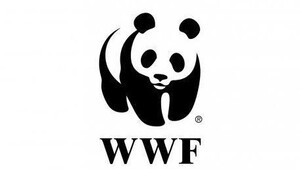 WWF – pieniądze i zwierzęta ważniejsze od ludzi? SZOKUJĄCE FAKTY!