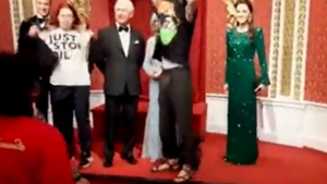 Szokujące zachowanie aktywistów. Musisz to zobaczyć (WIDEO)