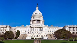 Skandal w USA! 7 lat więzienia za protest pod Białym Domem