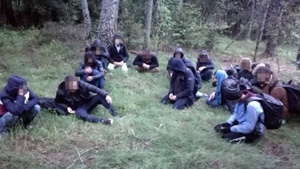 Chciał pozywać SG za siniaka po wywaleniu się na krowim placku – teraz robi za autorytet w kwestii migracji (FELIETON)