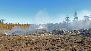 Upały powodują straszne pożary lasów w Europie i Afryce Północnej