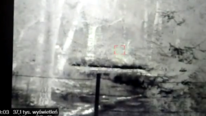 SZOKUJĄCE zachowanie na granicy polsko-białoruskiej! Wszystko zostało NAGRANE! [WIDEO]