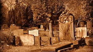 Po trupach do celu? Kandydat PO reklamuje się na…cmentarzu 