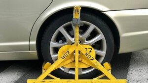 Władza wynagrodzi za DONOSZENIE?! Będzie można zgarnąć spore pieniądze