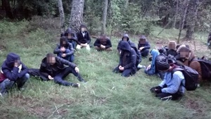 Bardziej mi żal jeleniątka, niż Sterczewskiego, czy Kramka, ale płot niestety musi być (FELIETON)
