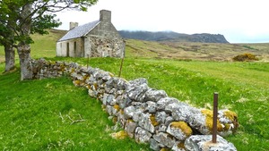 Irlandia: Tajemnicze morderstwo. Kto zabił Polaka?
