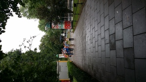 W drodze na Mszę Świętą otwierającą ŚDM