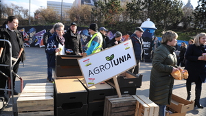 Na patelni przed Metrem Centrum AGROUnia rozdawała jabłka - galeria