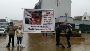 Pustki na Placu Chopina w Puławach. Porażka czarnego wtorku