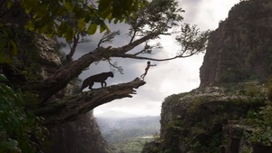 Księga Dżungli – atrakcyjna, z humorem i... bez genderpropagandy