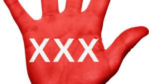 Porno - kokaina na kliknięcie - konferencja poświęcona pornografii