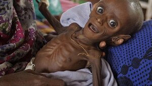 Świat czeka KATASTROFA głodu? Ten obszar jest najbardziej ZAGROŻONY! 