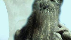 Sekciarze z Księgi Hioba