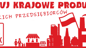 SPiR SWOJAK, czyli organizacja przyjaciół narodu i wolności
