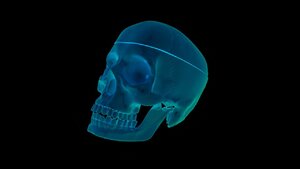 Rentgen do walki z koronawirusem