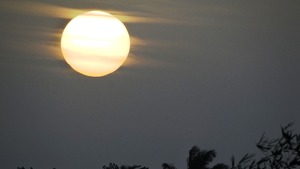 Czy Synod w Amazonii odrzuci celibat?