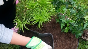 MODA NA OGRODNICTWO – OGRODY I OGRODNICY DZISIAJ, ZALETY POSIADANIA OGRODU