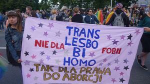 Wiosna Biedronia powstała na kanwie eseju z Krytyki Politycznej?