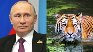 Putin nie żyje. Dostał ataku serca w zoo